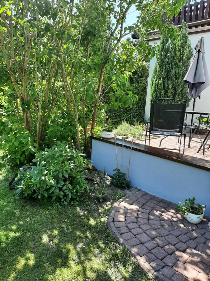 Apartament - 3 Pokojowe Dwupoziomowe Mieszkanie Z Ogrodem كروكوفا المظهر الخارجي الصورة